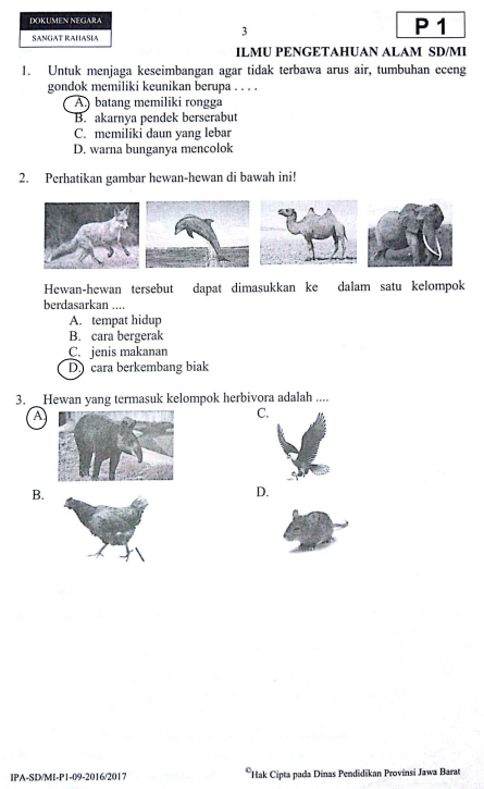 Latihan Soal dan Jawaban USBN IPA SD 2019 Irfanyulianto com