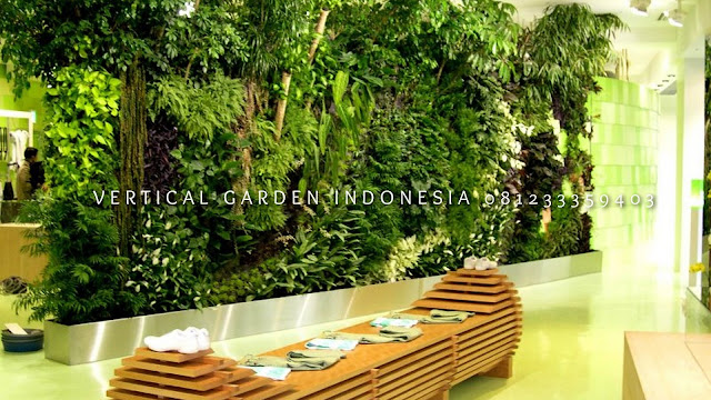 VERTICAL GARDEN INDONESIA SPESIALIS JASA PEMBUATAN VERTICAL GARDEN DI DEMAK JAWA TENGAH DAN DI SELURUH WILAYAH JAWA TENGAH DENGAN TENAGA YANG PROFESIONAL DAN DAPAT DI PERCAYA YANG SELALU MENGUTAMAKAN SEBUAH MUTU DAN KUALITAS PEMASANGAN VERTICAL GARDEN/TAMAN DINDING, JASA TUKANG TAMAN VERTICAL DEMAK JAWA TENGAH, JASA VERTICAL GARDEN DEMAK JAWA TENGAH