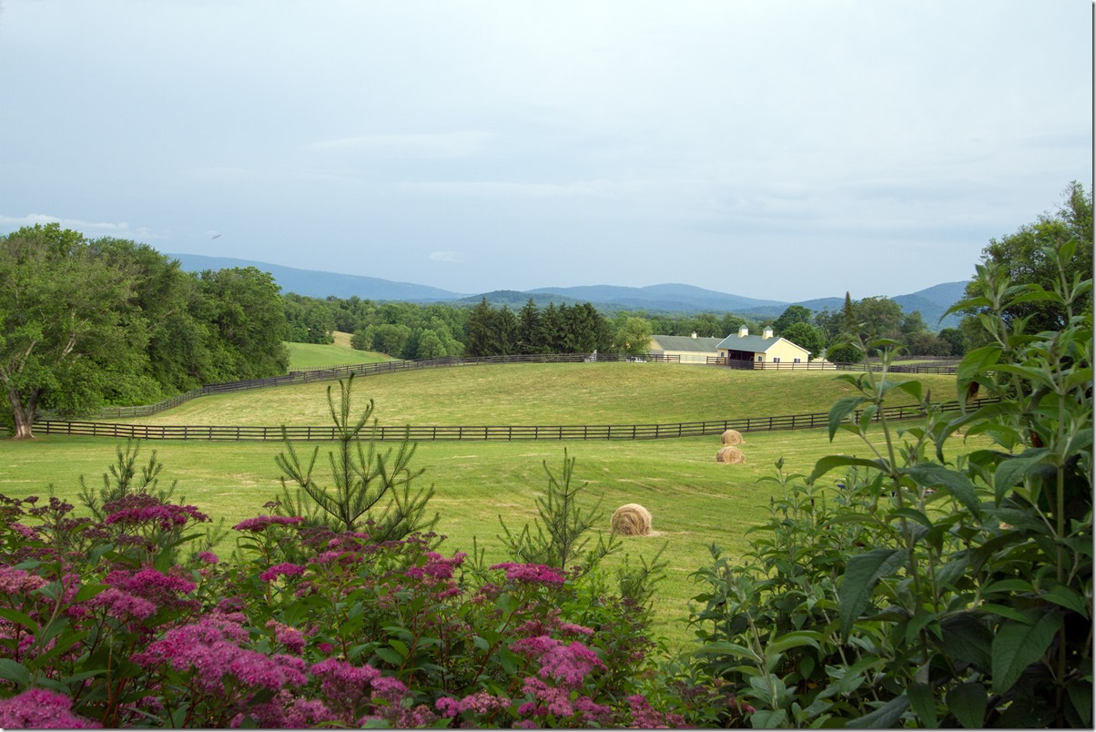 Blue Ridge Views - Copy (2)