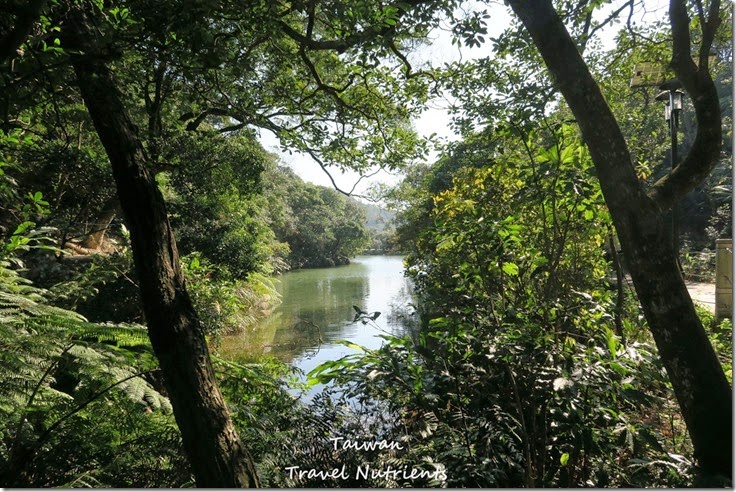 基隆情人湖 環湖步道 (22)