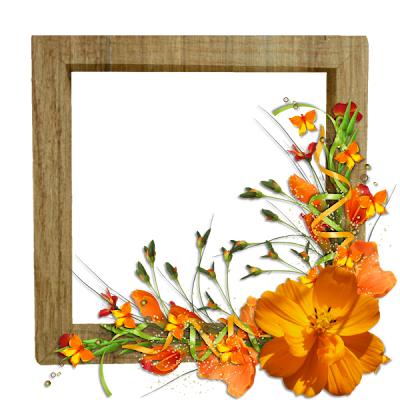 Click to download Cluster Frame...image will open in new window, then right click and save!