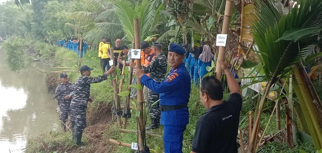Cegah Abrasi, 500 Bibit Pohon Mangrove Ditanam Sepanjang Muara Kali Ijo