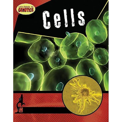 Animal Cell Facts. images Animal Cell 3d Model