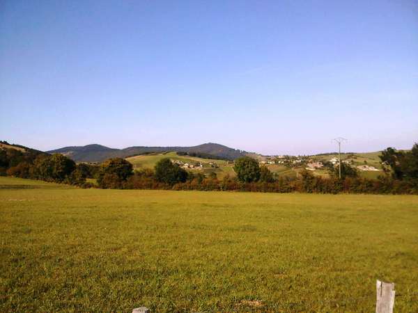 vue depuis le saule d'oingt