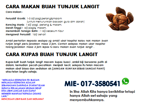 Buah Tunjuk Langit Murah: BUAH TUNJUK LANGIT MURAH RM 15