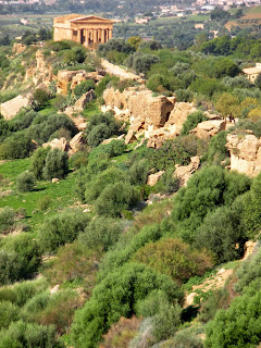 Italia. Italy. Italie. Sicilia. Sicily. Sicile. Agrigento. Girgenti. Agrigente. Acragente. Akragas. Valle dei Templi. Yacimiento arqueológico. Templo dórico