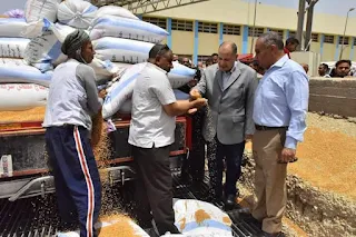 محافظ أسيوط: ارتفاع الكميات الموردة من محصول القمح للشون والصوامع إلى 59916 طن