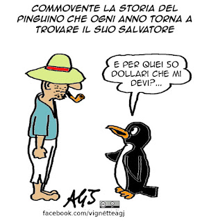 pinguino e pescatore, commuove il web, riconoscenza, umorismo, vignetta