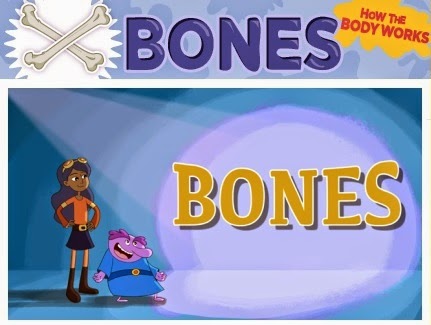  Bones