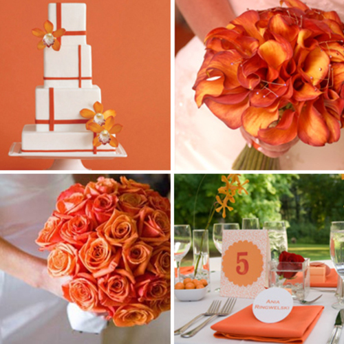 Tangerine Tango Inspiration