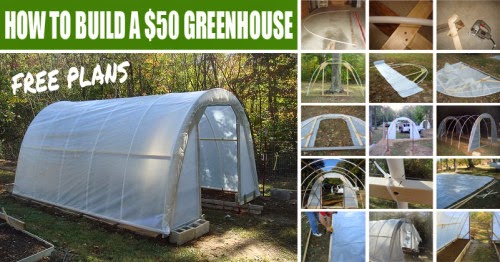 How To Build A $50 Greenhouse In Your Yard – Free Plans