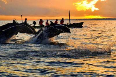 Pantai-Lovina-Bali