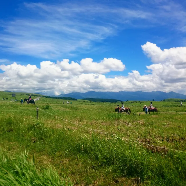 霧ヶ峰乗馬クラブ