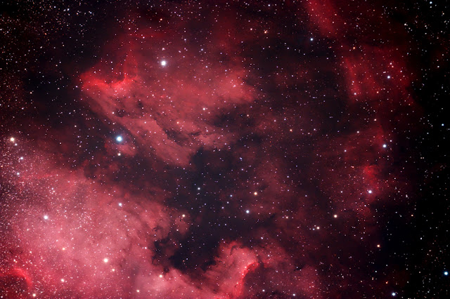 Astro Photography image of the Pelican nebula in the constellation cygnus taken with modified canon DSLR