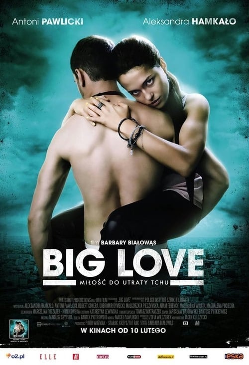 Big Love 2012 Film Completo In Italiano