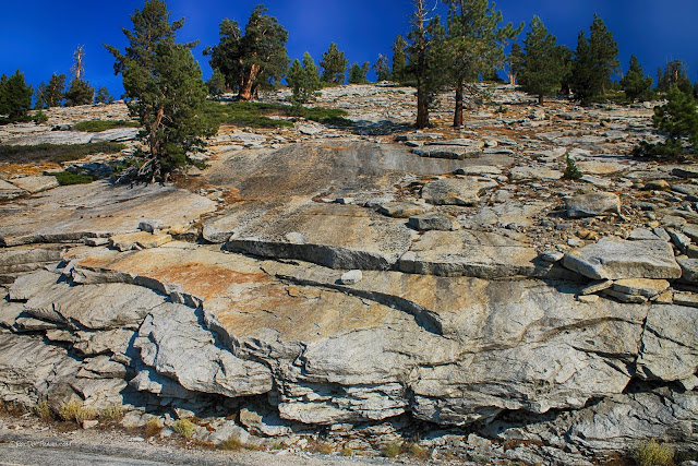 Yosemite National Park Tioga Pass geology travel field trip copyright rocdoctravel.com