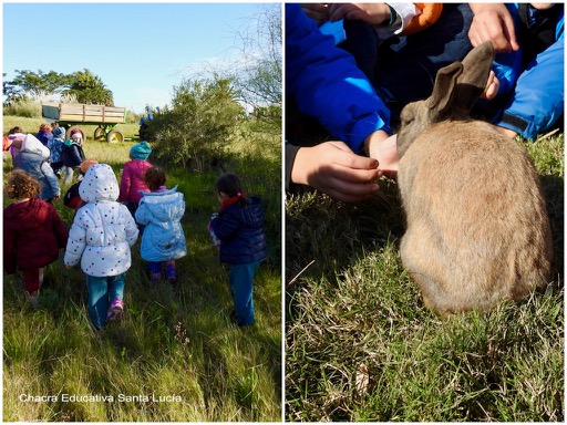 Aventurándose por los terrenos de la Chacra / Aprendiendo sobre los conejos - Chacra Educativa Santa Lucía