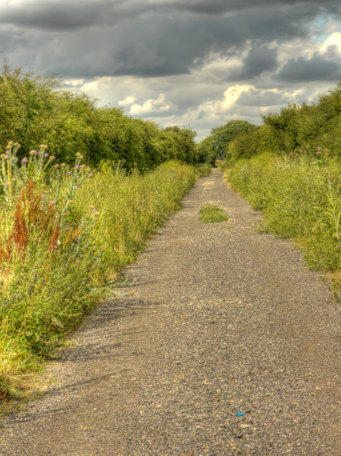 P1140787_1_2_3_4_5_6_tonemapped.jpg