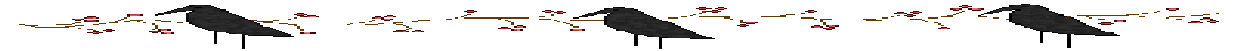 divider07_thumb[1]