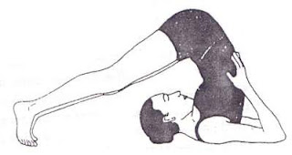 halasana-yoga-benefits-in-hindi