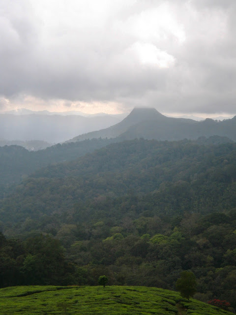 Kerela India Mountain