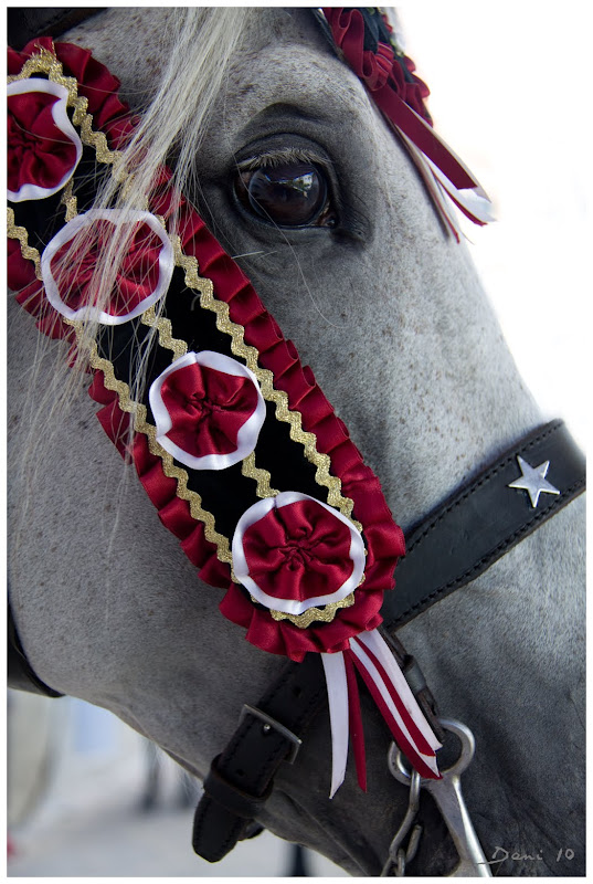 60.fiestas de mahon