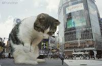 Este artista convierte gatos en gigantes con Photoshop y el resultado es genial