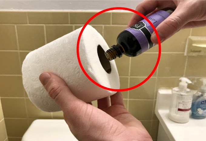 Descubre cómo perfumar todo el baño con un rollo de papel higiénico