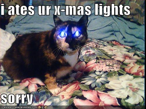 ... -pictures-cat-ate-your-christmas-lights.jpg#christmas%20lol%20cat