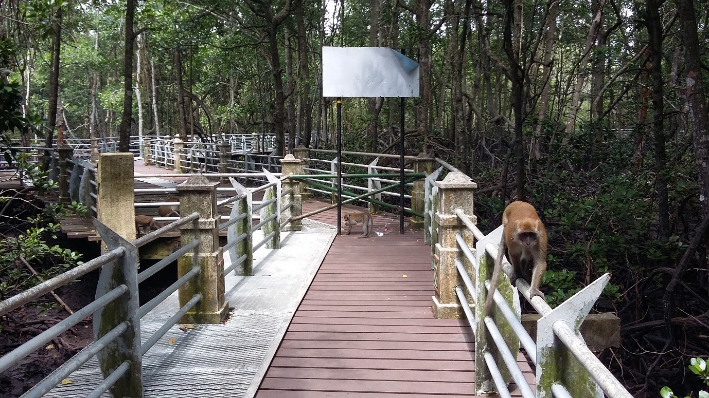 Mohd Faiz bin Abdul Manan: Taman Paya Bakau