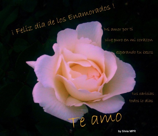 amor no correspondido frases. amor con frases romanticas