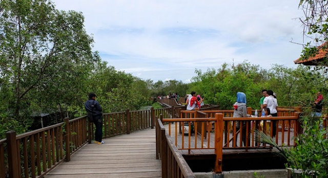 Hutan Mangrove Wonorejo