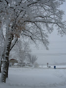 White tree branches, white ground, white snowandicecovered lake.