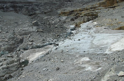 Hielo del glaciar de la brecha de rolando