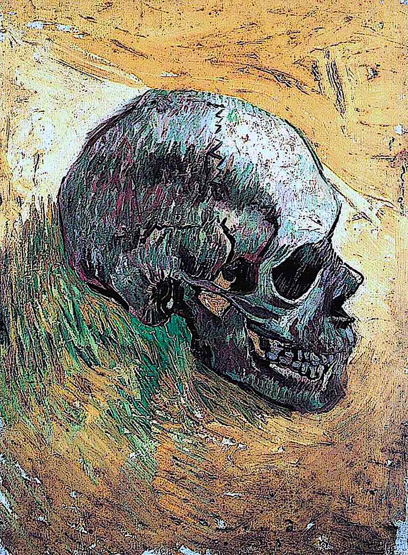 a Vincent van Gogh painting of a human skull in profile