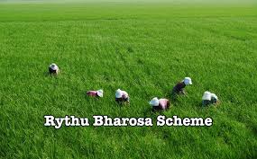 Here’s how you can be eligible apply for Rythu Bharosa scheme