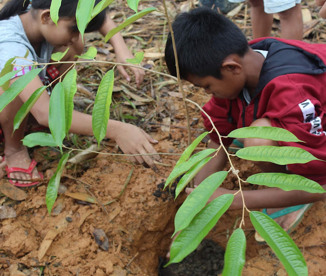 Peduli Jantung Borneo Bambo Foundation