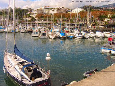 MARINA DO FUNCHAL