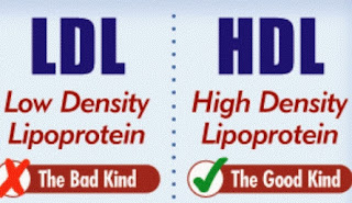 EFFECTIVE FOODS TO INCREASE HDL