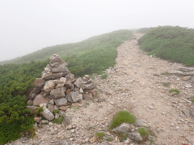 白山 市ノ瀬-別山道 2300m