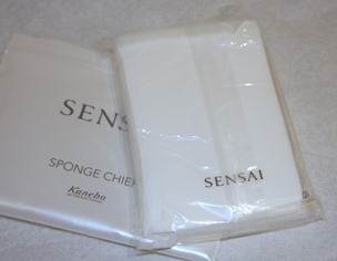 Kanebo Sponge Chief 2