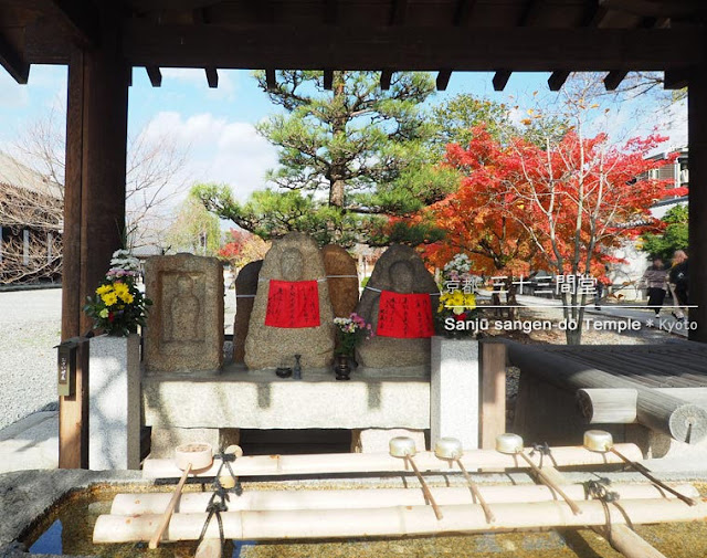 京都 三十三間堂と紅葉