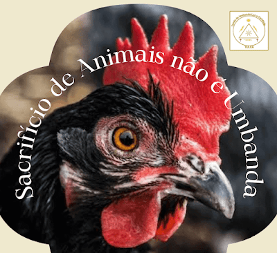 Sacrifício de Animais não é Umbanda