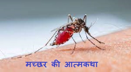 मच्छर की आत्मकथा Autobiography Of A Mosquito In Hindi