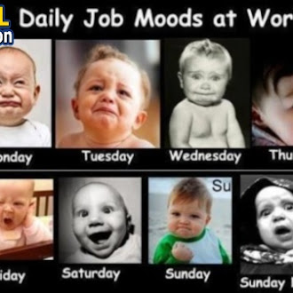 Daily Job Moods