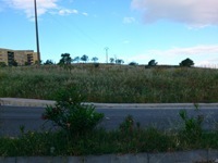 2012-05-23 07.32.16