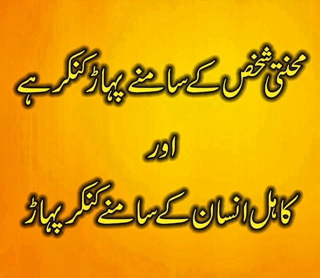 Urdu Quotes!