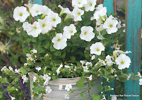 chair planter uses for wobbly chairs http://bec4-beyondthepicketfence.blogspot.com/2012/06/they-weeble-and-they-wobble.html