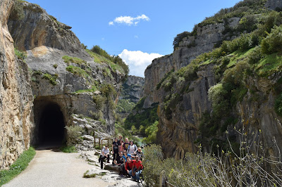 Group photo at Foz de Lumbier