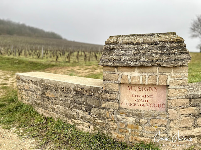 idée pour virée Bourgogne